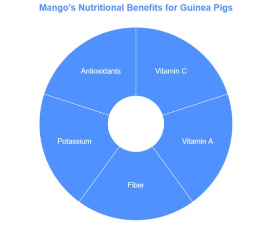 Can Guinea Pigs Eat Mango