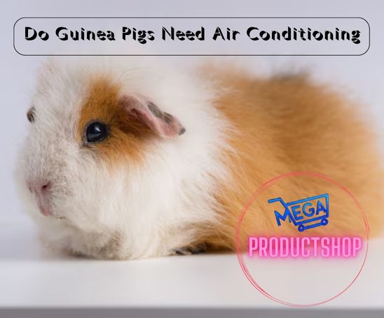 Do Guinea Pigs Need Air Conditioning?