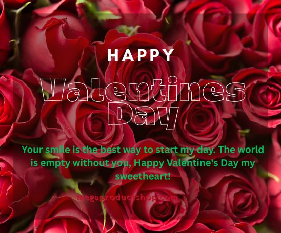 Happy Valentine's Day