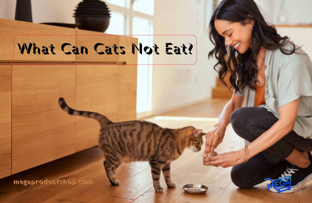 What Can Cats Not Eat? 10 Toxic Foods for Cats