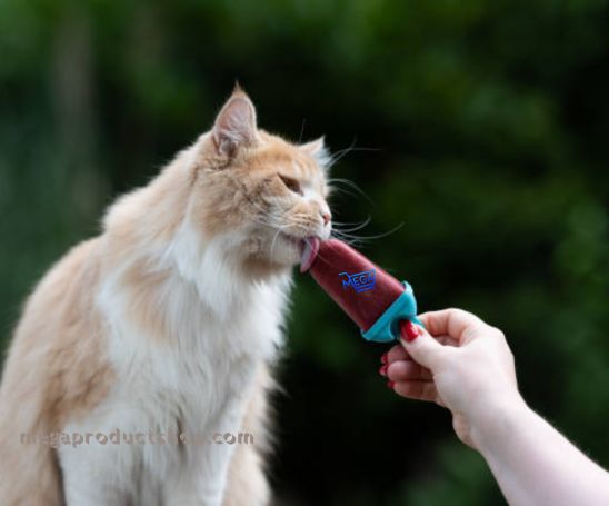 Can Cats Eat Ice Cream?