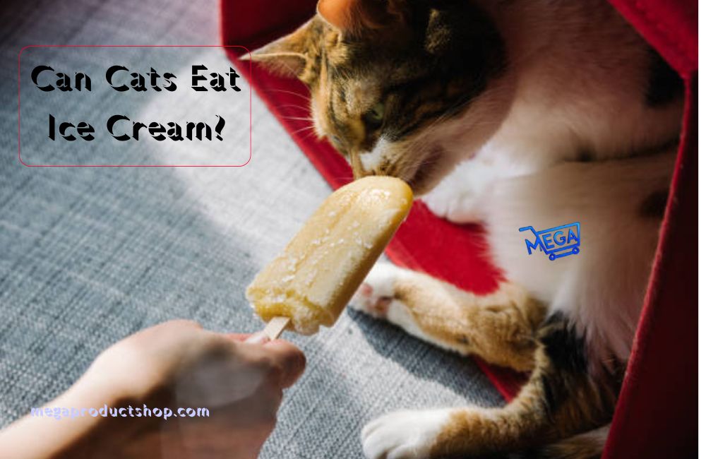 Can Cats Eat Ice Cream? What Every Cat Owner Should Know