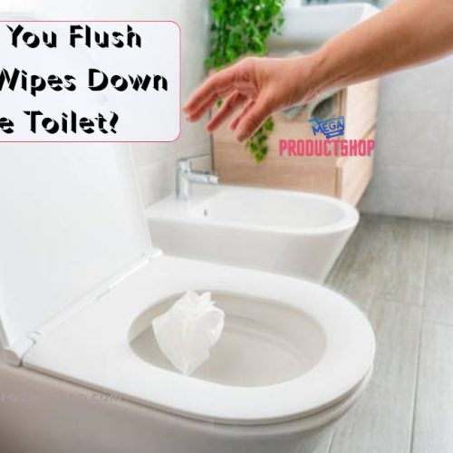 Can You Flush Baby Wipes Down The Toilet? What You Need To Know