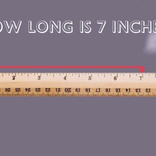 How Long is 7 Inches in Everyday Life   